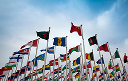 Phoenix International Tax Accountant